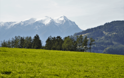 Wasserknappheit in Österreich – jeder Tropfen zählt