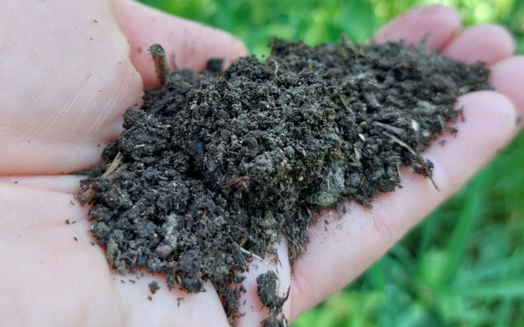 Informationsveranstaltung für Landwirt:innen zum Thema: Wasserhaushalt, Humusaufbau, Agroforst und Erosionsvermeidung